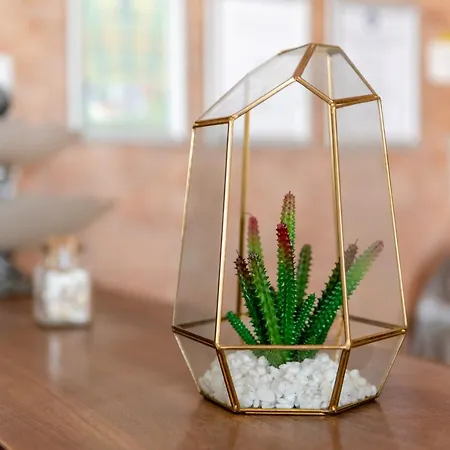 Casa Royal Pe Plaja Belona